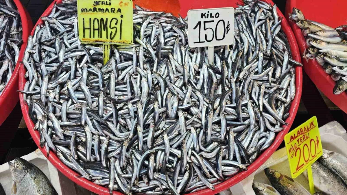 Bandırma'da Hamsi Fiyatları Düştü