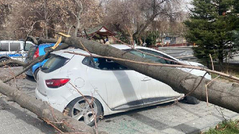 Ankara’da kuvvetli rüzgar; ağaçlar araçların üzerine devrildi