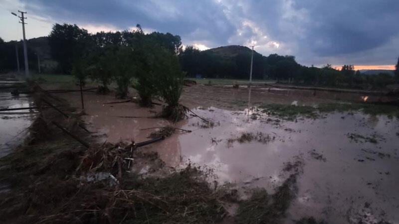 Konya'da sağanak yağış etkili oldu; 25 küçükbaş öldü